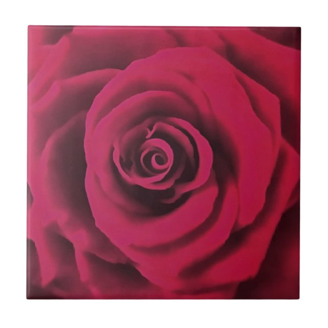 Azulejo De Cerâmica Grande Rosa vermelha (Frente)