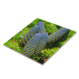 Azulejo De Cerâmica Grandes Cones Azul-Coreanos