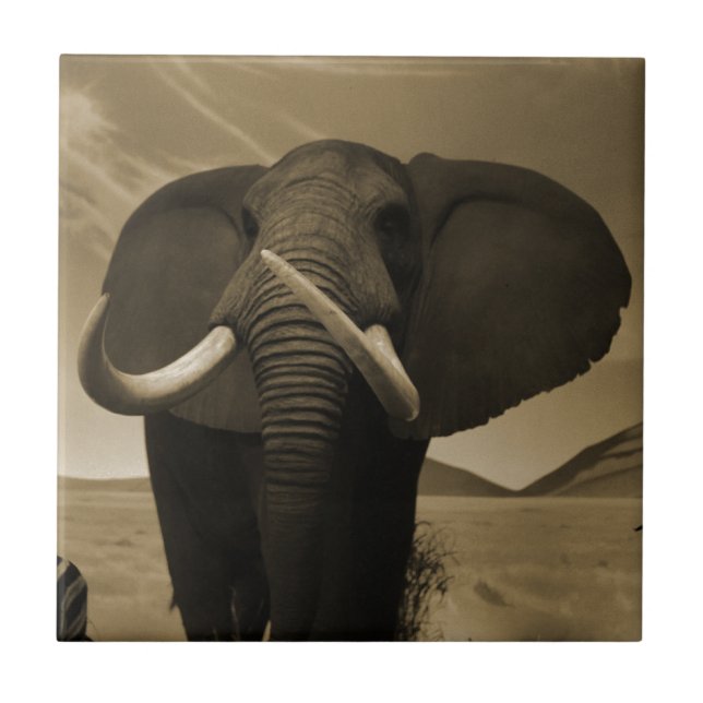 Azulejo De Cerâmica Granulosa (Frente)