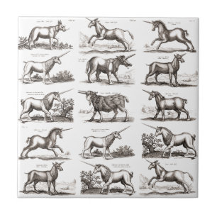 Azulejo De Cerâmica Grave de Unicórnio Antigo - Espécime de Zoologia V