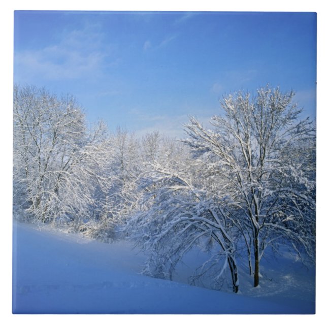 Azulejo De Cerâmica Grave neve em Louisville, Kentucky. (Frente)