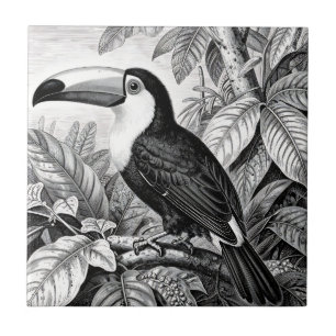 Azulejo De Cerâmica Gravura da Folhagem da Selva dos Tucanos