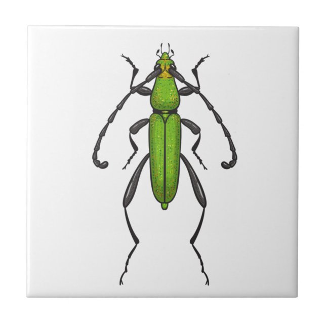 Azulejo De Cerâmica Green beetle (Frente)