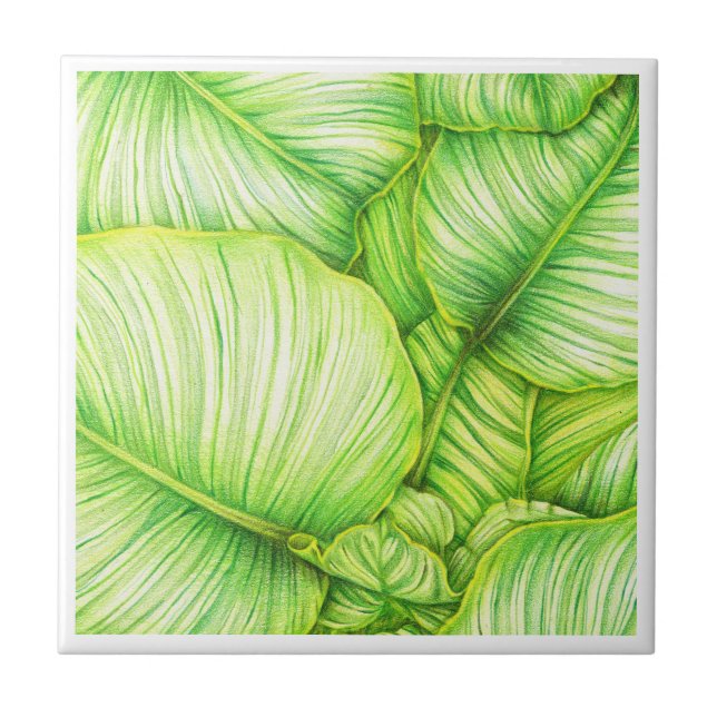 Azulejo De Cerâmica Green Botanical Ceramic Tile (Frente)