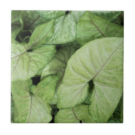 Azulejo De Cerâmica Green Leaf Print