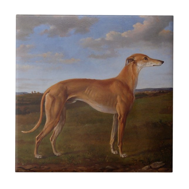 Azulejo De Cerâmica Greyhound (Frente)