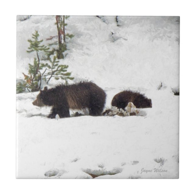 Azulejo De Cerâmica Grizzlies na neve (Frente)