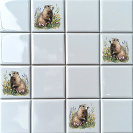 Azulejo De Cerâmica Groundhog