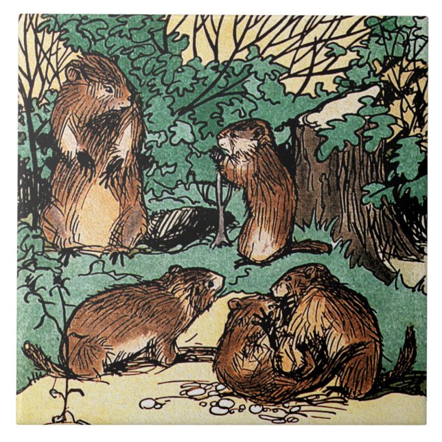 Azulejo De Cerâmica Groundhog - Família Marmot (Frente)