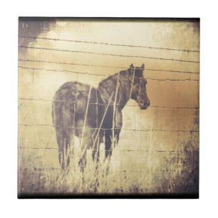 Azulejo De Cerâmica Grunge de Cavalo Negro
