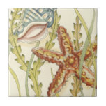 Azulejo De Cerâmica Grupo de Shell Multicolores<br><div class="desc">Charikilia Zarris é uma artista talentosa conhecida por sua trabalho de arte oceânica. As imagens dela são pacíficas e calmas, relaxando-vos com cada fotografia. Pegue esta trabalho de arte náutica com uma estrela-do-mar e uma concha sendo o centro de tudo, junto com uma bela alga. Esta imagem ficará excelente em...</div>