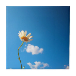 Azulejo De Cerâmica Grytunderlägg Daisy