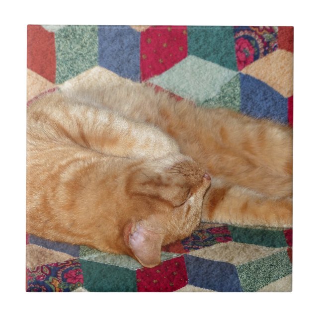 Azulejo De Cerâmica Guarda de Gatos (Frente)