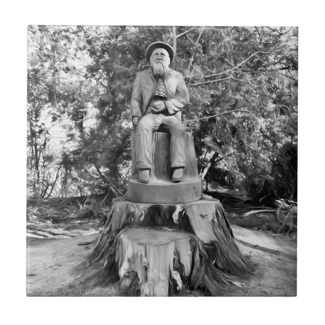 Azulejo De Cerâmica Guardião da Floresta (Frente)