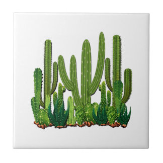 Azulejo De Cerâmica Habitat de Sonoran
