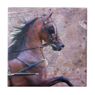 Azulejo De Cerâmica Hackney Grunge