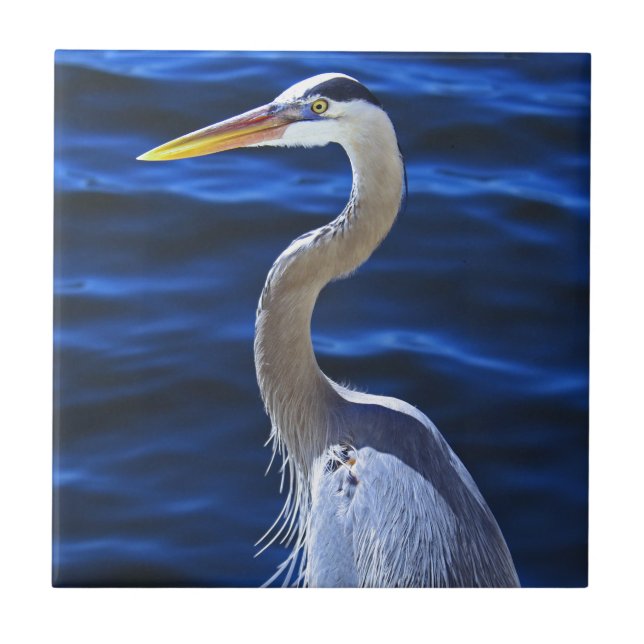 Azulejo De Cerâmica Hank a garça-real (Frente)