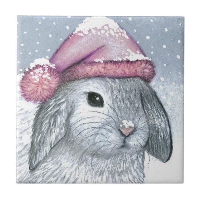 Azulejo De Cerâmica Hare 14 rabbit (Frente)