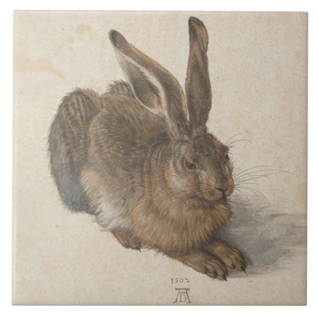 Azulejo De Cerâmica Hare (por Albrecht Dürer) (Frente)