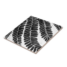 Azulejo De Cerâmica Havaiana Haole Koa- folha leucaena