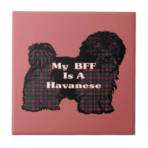 AZULEJO DE CERÂMICA HAVANESE BFF