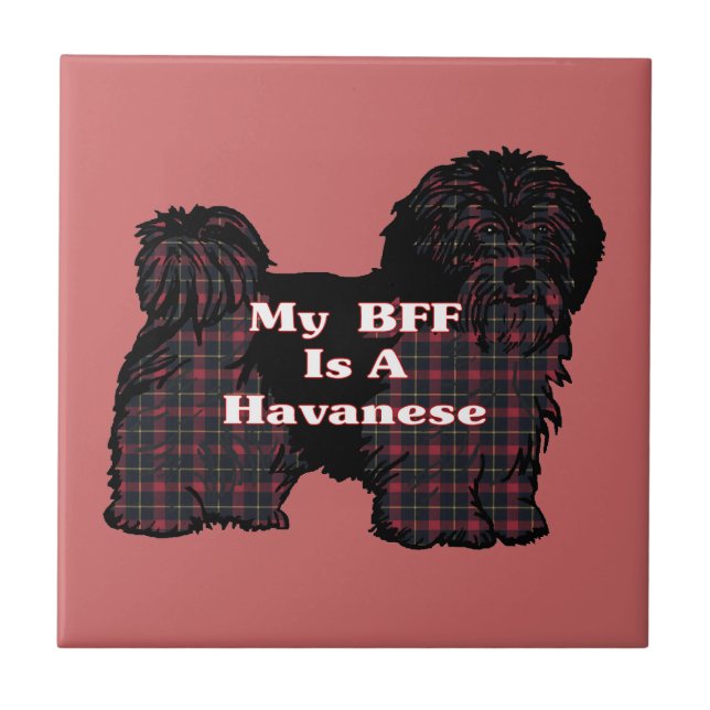 AZULEJO DE CERÂMICA  HAVANESE BFF (Frente)
