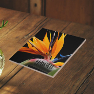 Azulejo De Cerâmica Hawaii Bird of Paradise Plant Bloom
