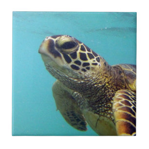 Azulejo De Cerâmica Hawaii Honu Turtle