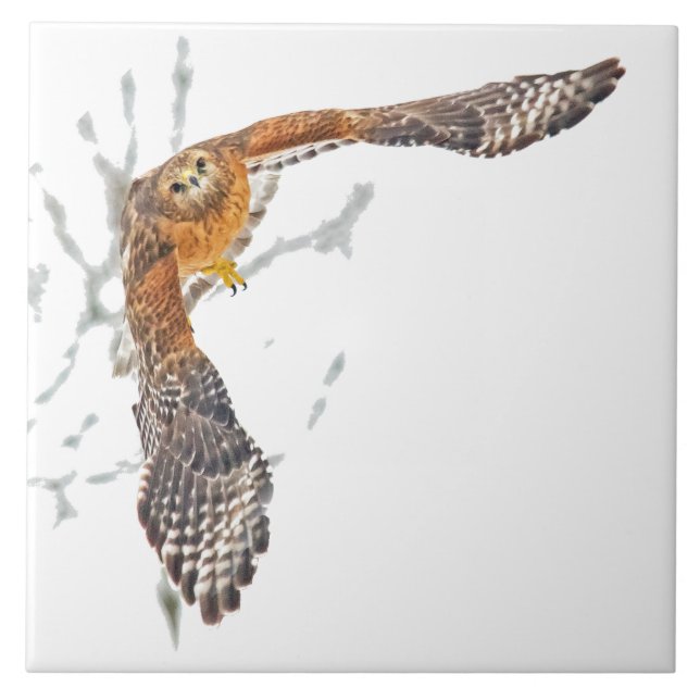 Azulejo De Cerâmica Hawk em Voo (Frente)