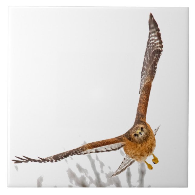 Azulejo De Cerâmica Hawk em Voo (Frente)
