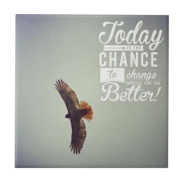 Azulejo De Cerâmica Hawk Hoje Você Pode Fazer Melhor (Frente)