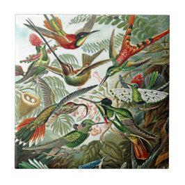 Azulejo De Cerâmica Heackel Nature Art Bird Design Hummingbird