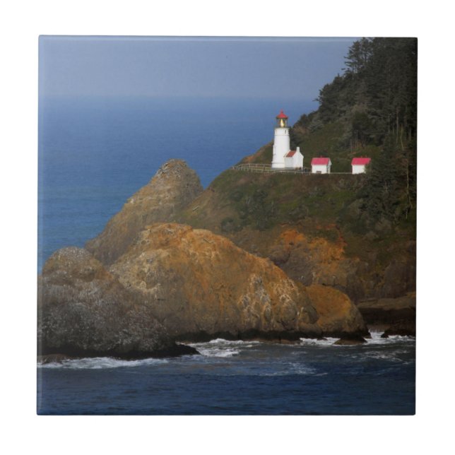 Azulejo De Cerâmica Heceta Head Lighthouse, Cape Creek, Oregon, EUA (Frente)
