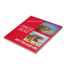 Hemangiosarcoma Cancer de Cachorro Vermelho Negrit