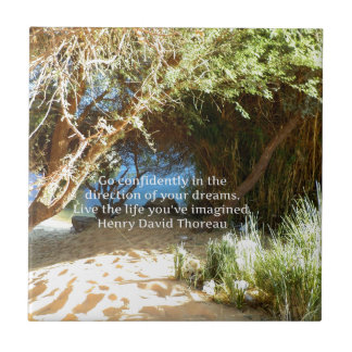 Azulejo De Cerâmica Henry David Thoreau Cotação do Sonho Motivacional