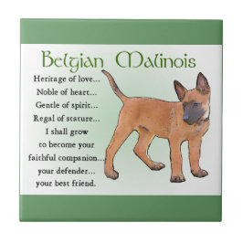 Azulejo De Cerâmica Herança do Amor, Malinois Belga