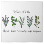 Azulejo De Cerâmica Herbáceas frescas Thyme Basil Farmhouse<br><div class="desc">Plantas aromáticas frescas,  incluindo tomilho,  manjericão,  sábio,  rosmaninho e orégano,  com um simples fundo branco. Um gráfico de aquarela simples foi usado para fazer este azulejo cerâmico de fazenda.</div>