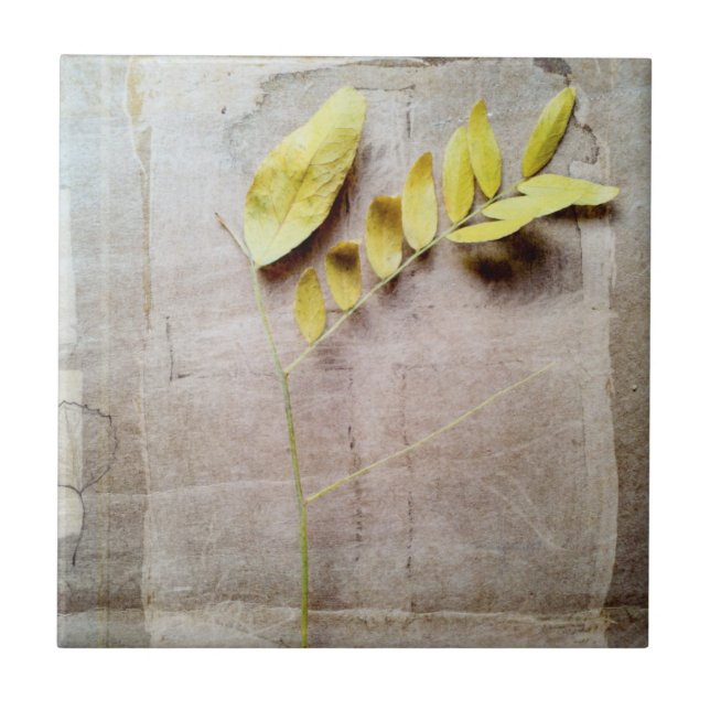 Azulejo De Cerâmica Herbário V (Frente)