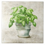 Azulejo De Cerâmica Herbos de Aquarelas Textura Cinzenta Basil<br><div class="desc">Design de manjericão com aquarela russa num pote de país. Um olhar vintage. Perfeito para o seu país,  na cozinha da casa de campo ou francês.</div>