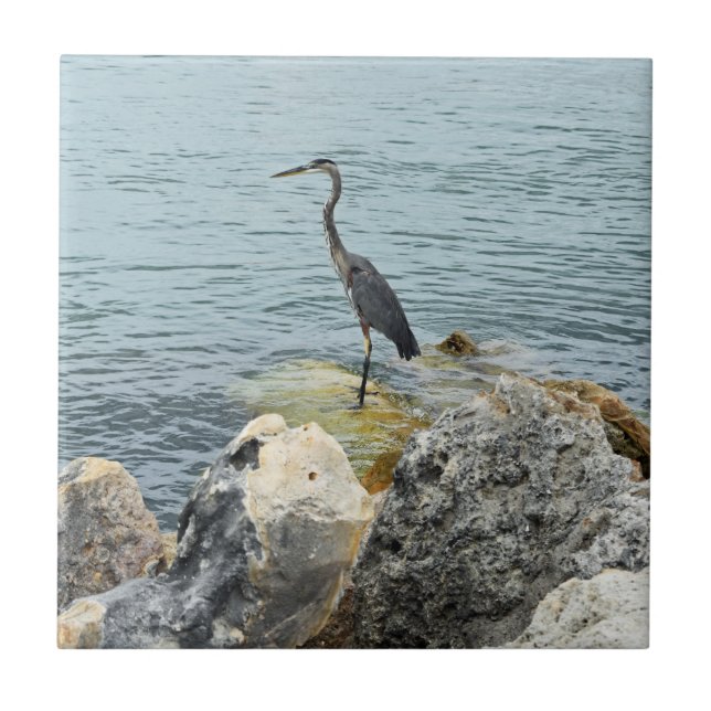 Azulejo De Cerâmica Heron On Rocks Na Praia (Frente)