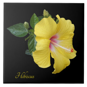 Azulejo De Cerâmica hibisco amarelo bonito a preto