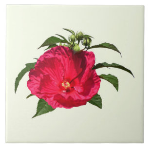 Azulejo De Cerâmica Hibiscus Rosa Escuro
