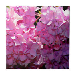 Azulejo De Cerâmica Hídrangas elegantes florais cor-de-rosa romântico