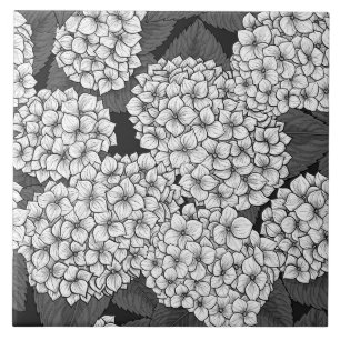 Azulejo De Cerâmica Hídricas brancas