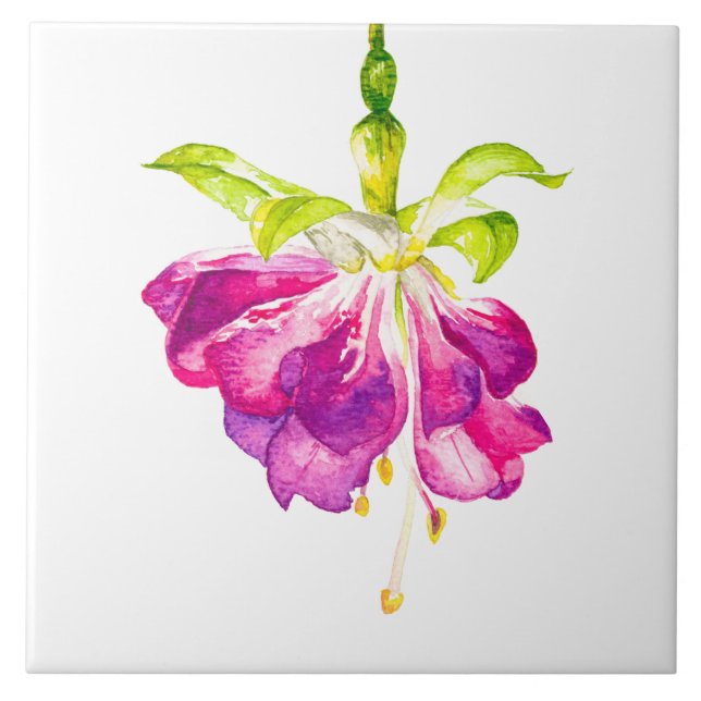 Azulejo De Cerâmica Holi on a Ceramic Tile (A) (Frente)