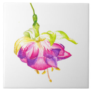 Azulejo De Cerâmica Holi on a Ceramic Tile (B)