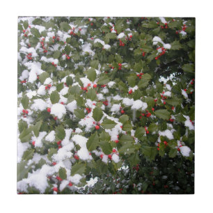 Azulejo De Cerâmica Holly e Snow