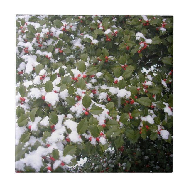 Azulejo De Cerâmica Holly e Snow (Frente)