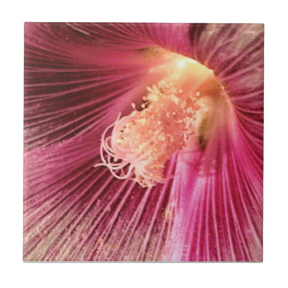 Azulejo De Cerâmica Holly Hock no Sol da Noite
