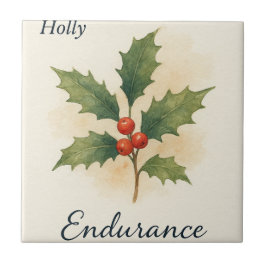 Azulejo De Cerâmica Holly — Resistência